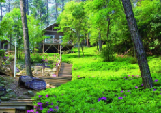 长三角三省一市发布“池州宣言”，将推动森林旅游和康养产业一体化发展-企宣易