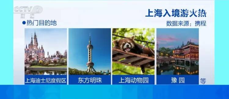 订单飙升！来上海的外国游客猛增，有人“买买买”一下刷了十几万…-企宣易